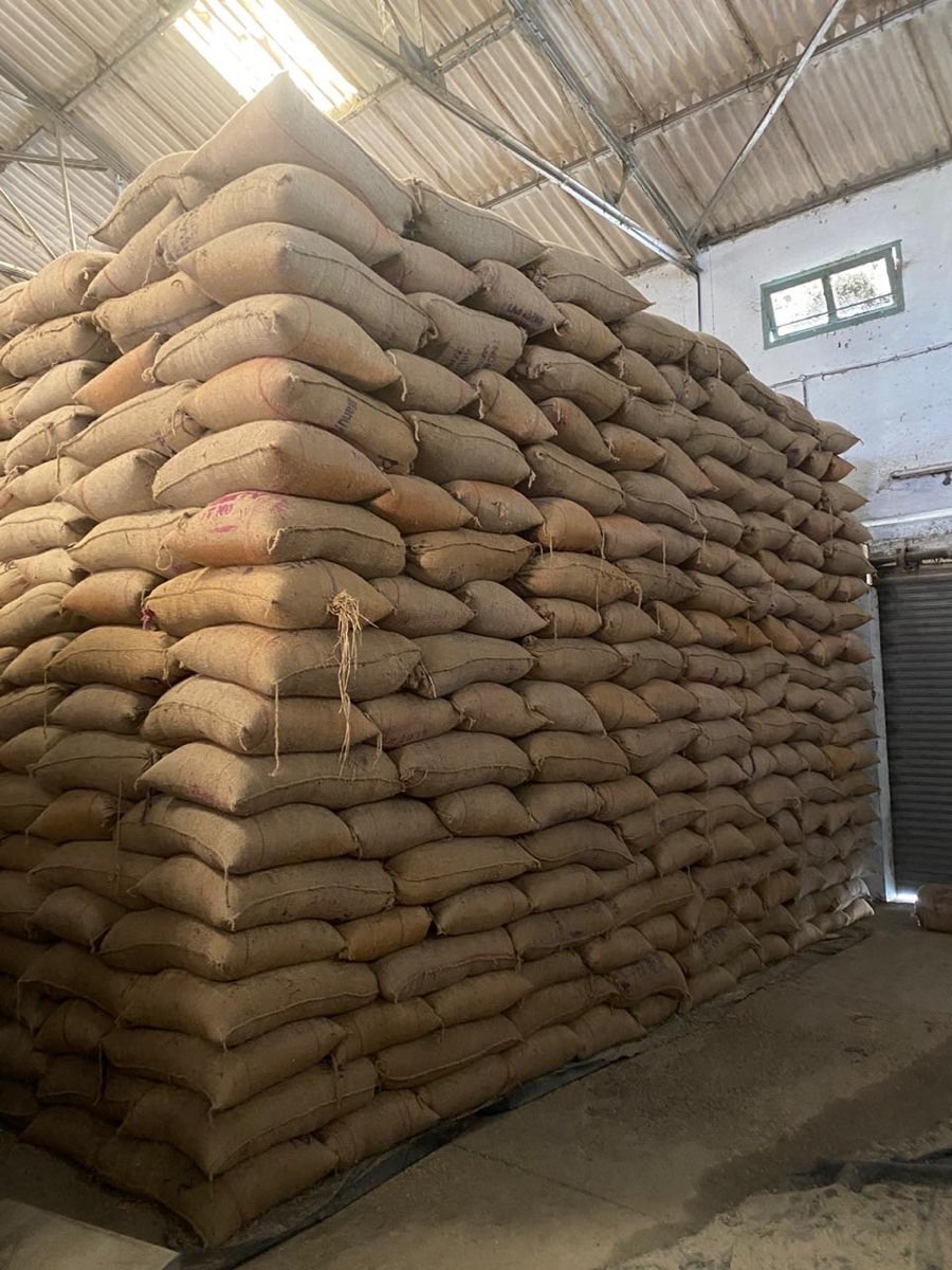 Tall stacks of grain sacks inside a warehouse
